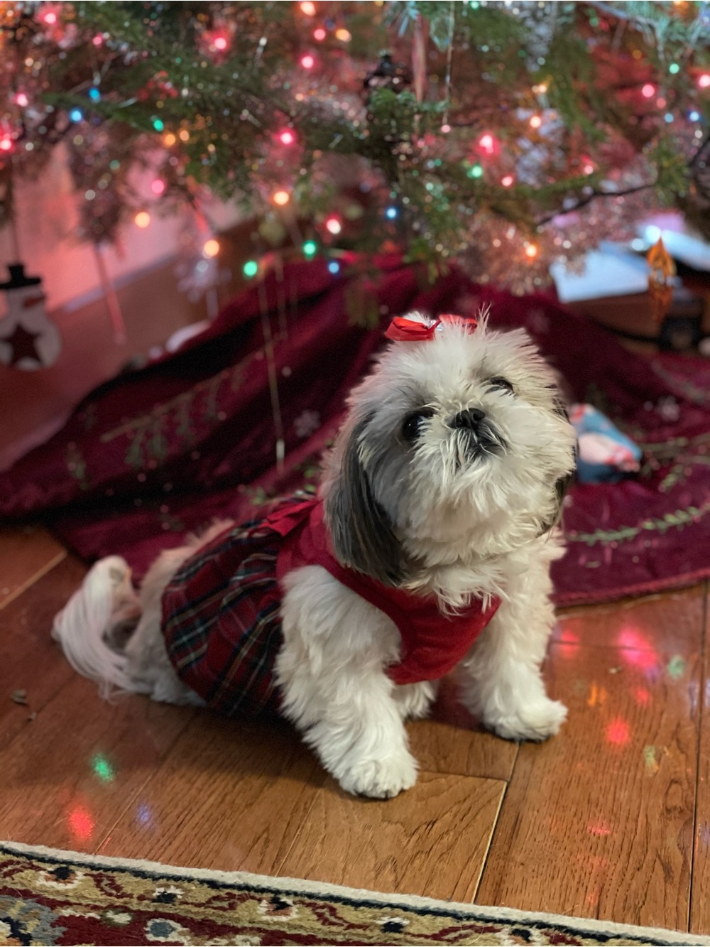Festive Red Plaid Dog Dress with Bow
